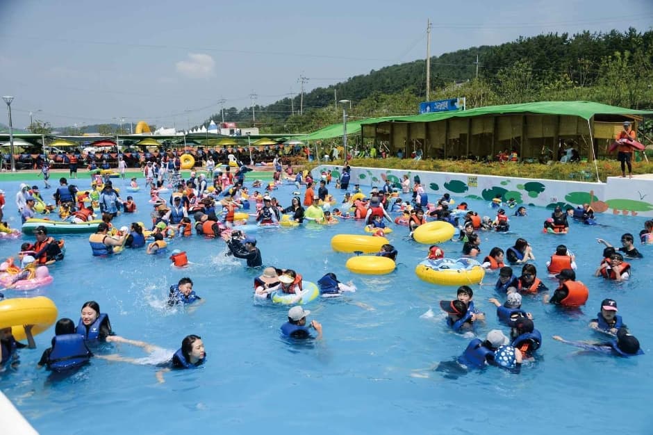 2024 무안 연꽃축제 5