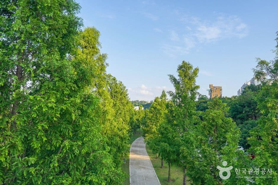 공항교강변공원