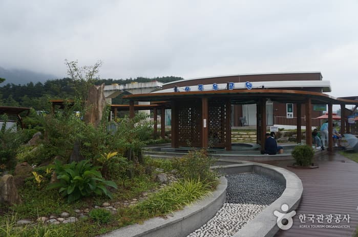 강원도_속초시_척산족욕공원(19)