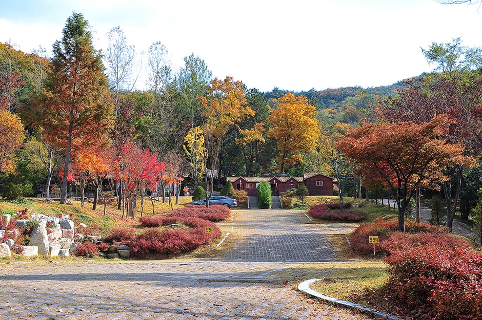 입화산참살이숲제2오토캠핑장