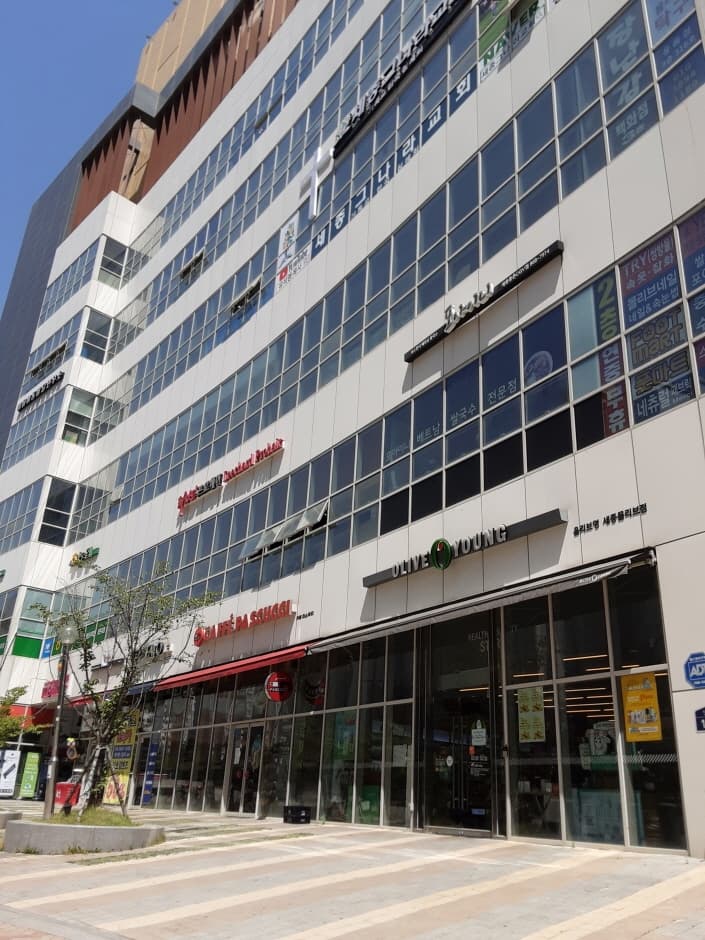 올리브영 세종몰리브