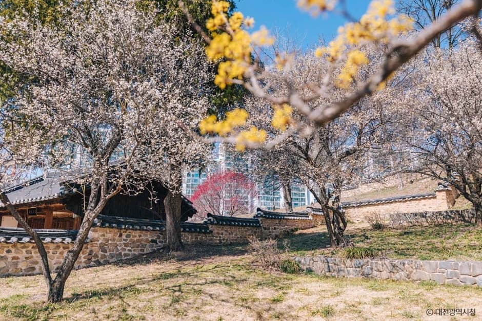 Pabellón Dongchundang de Hoedeok en Daejeon (대전 회덕 동춘당)