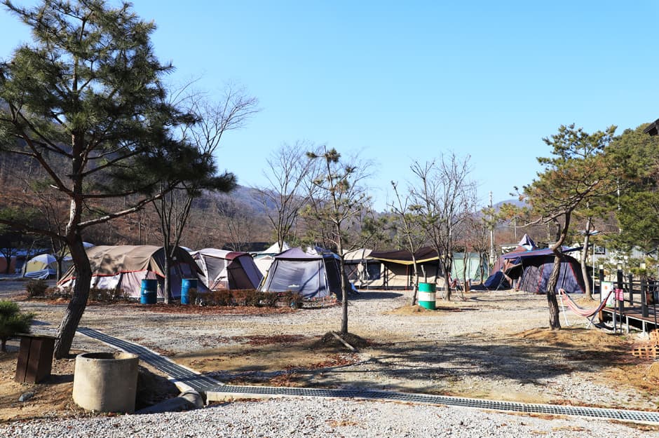 여주산촌오토캠핑장
