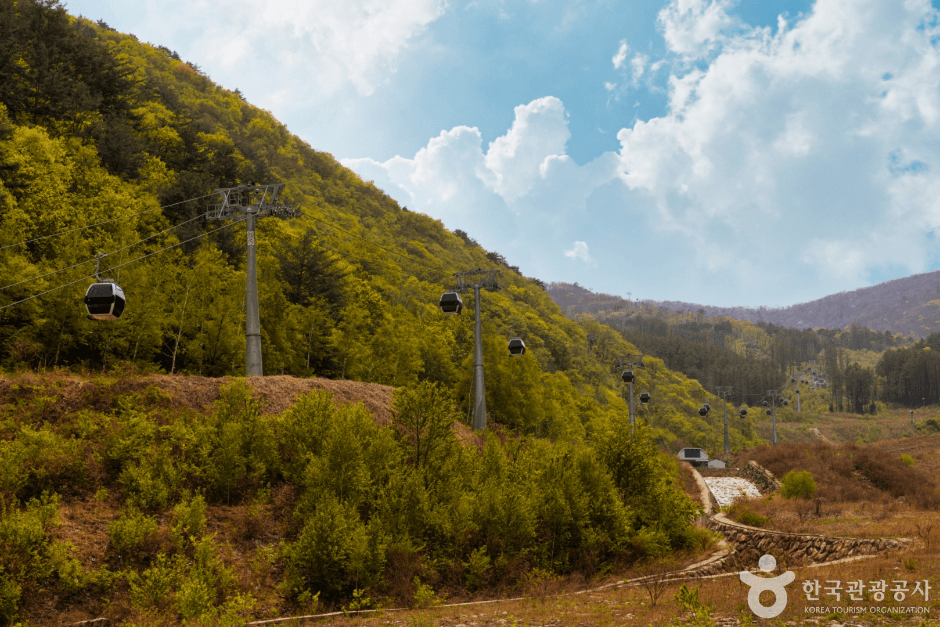 加里王山（가리왕산）
