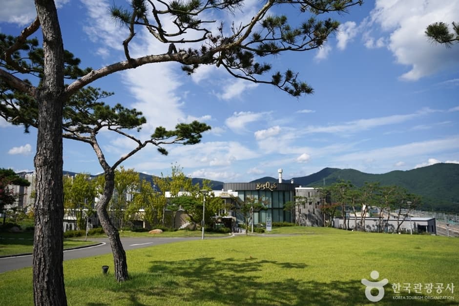 커피명가보스케 (13)