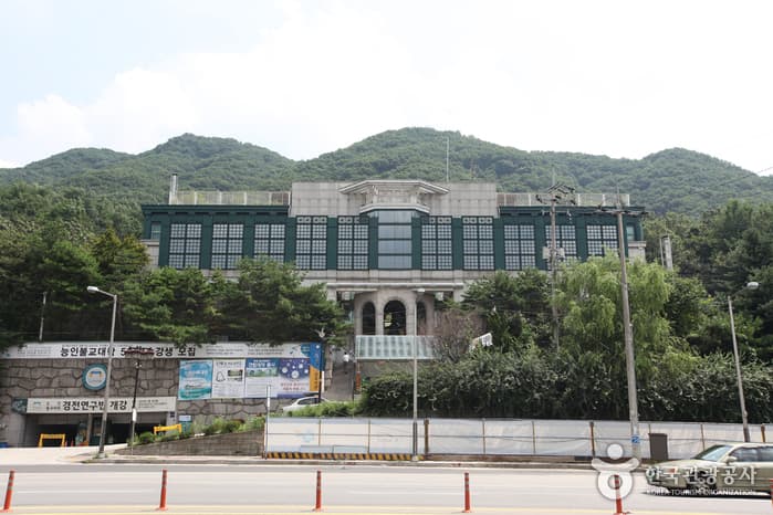 能仁禪院(능인선원)