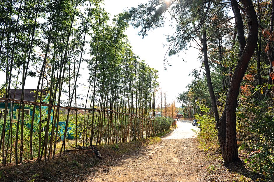 황방산생태야영장_산책로