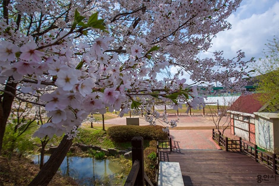 器興湖水公園ドッグラン(기흥호수공원 반려동물놀이터)