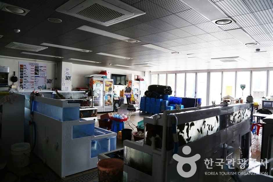 영도해녀문화전시관 (20)