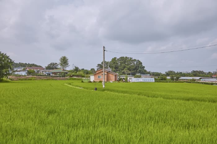 利川Doniwool名品米村(이천 도니울 명품쌀마을)