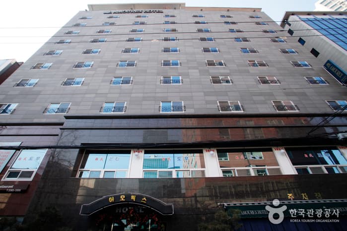 Amourex Hotel (아모렉스관광호텔)