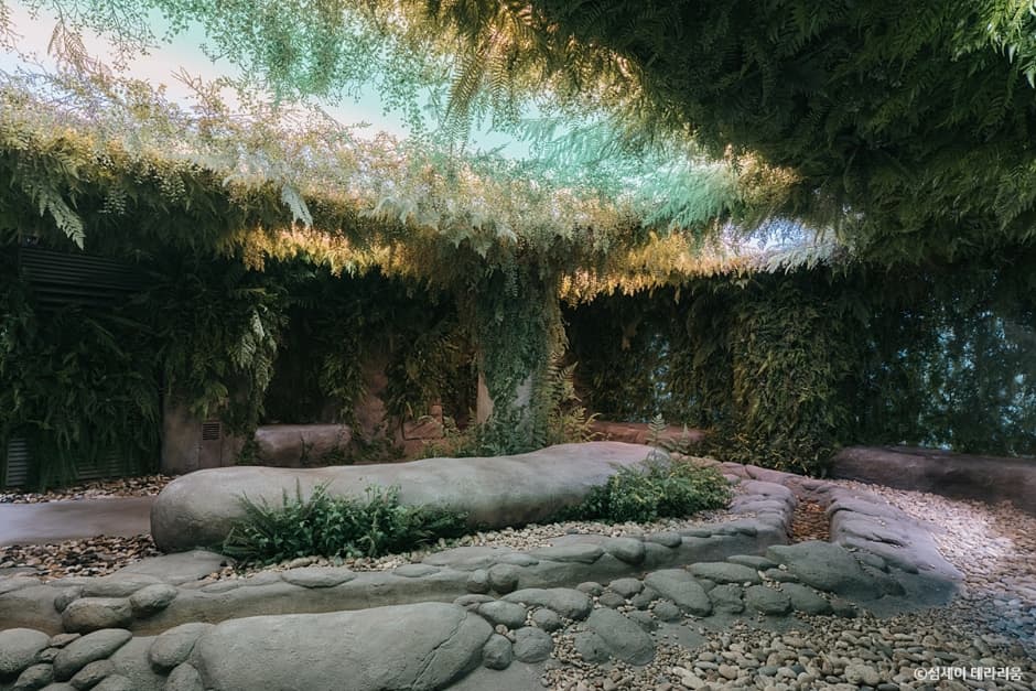 테라리움 3F_SUMSEI Forest