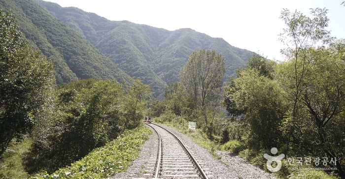 문경 철로자전거(레일바이크)5