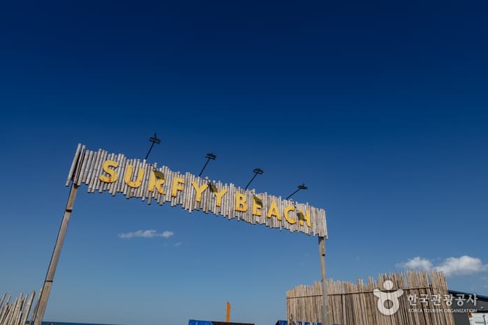 서피비치, 서핑(양양) 1