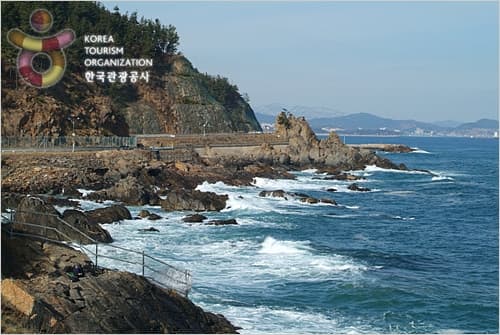 Puerto de Samcheok - Costanera Saecheonnyeon (삼척항 - 새천년도로변)