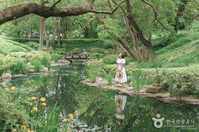 慶州エキスポ大公園(경주엑스포대공원)