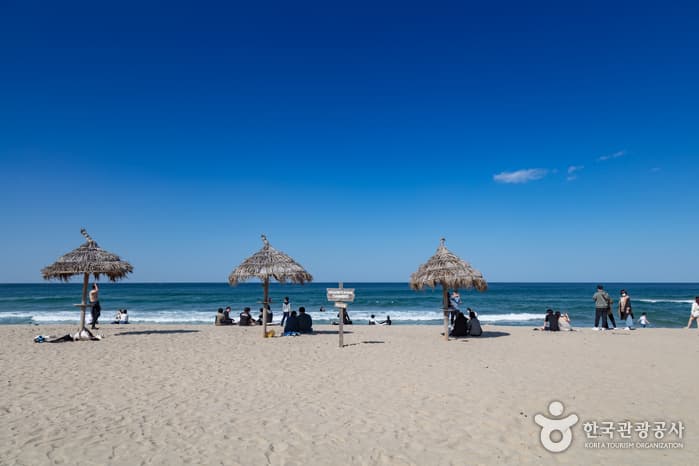 서피비치, 서핑(양양) 2