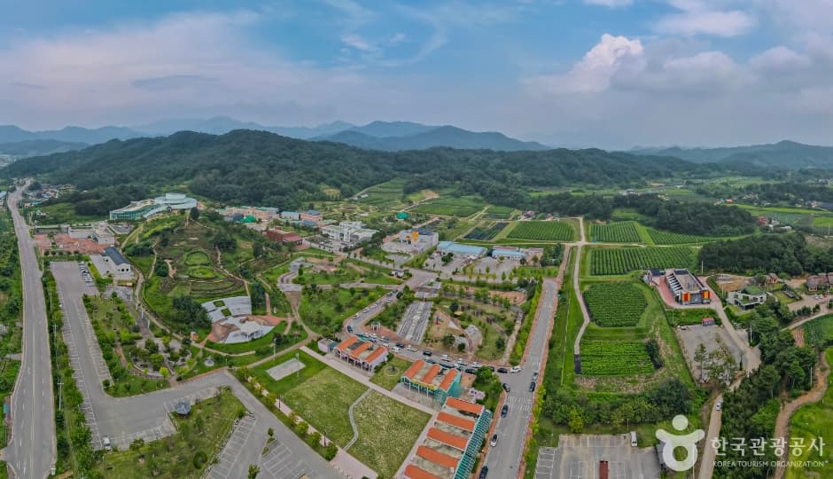 蚕糸昆虫事業場(잠사곤충사업장)