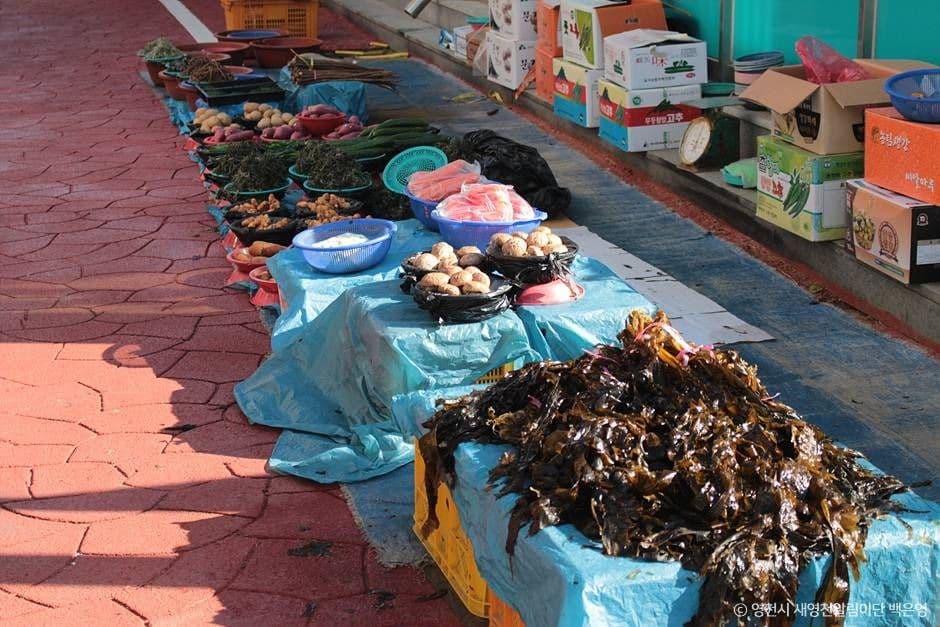 영천_금호전통시장 (3)