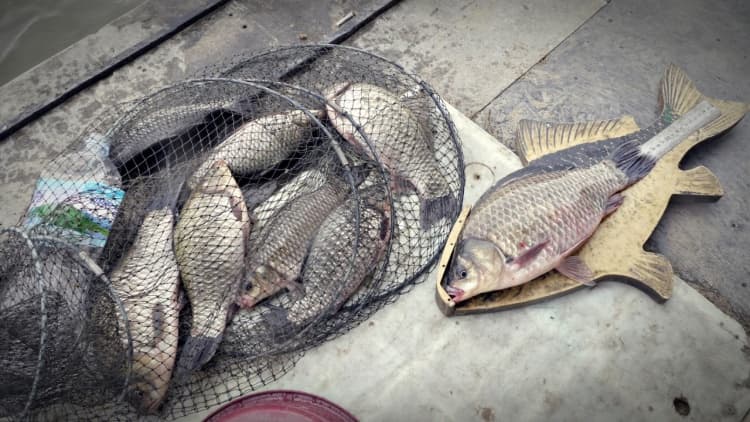 용담낚시터_붕어