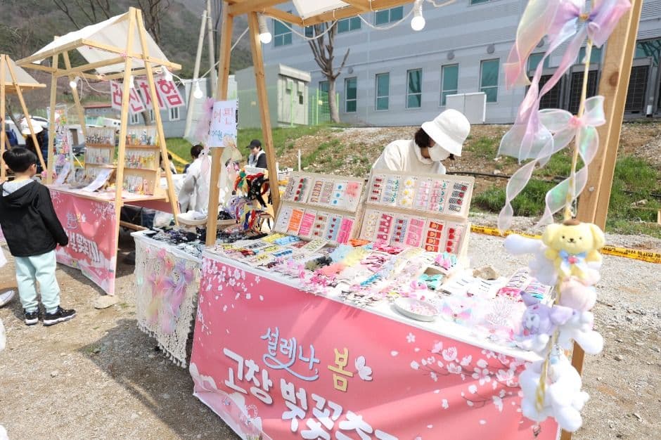 2025 고창 벚꽃축제 1