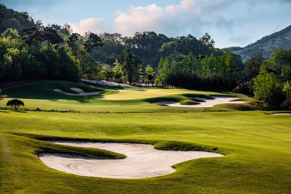 세종필드 골프클럽