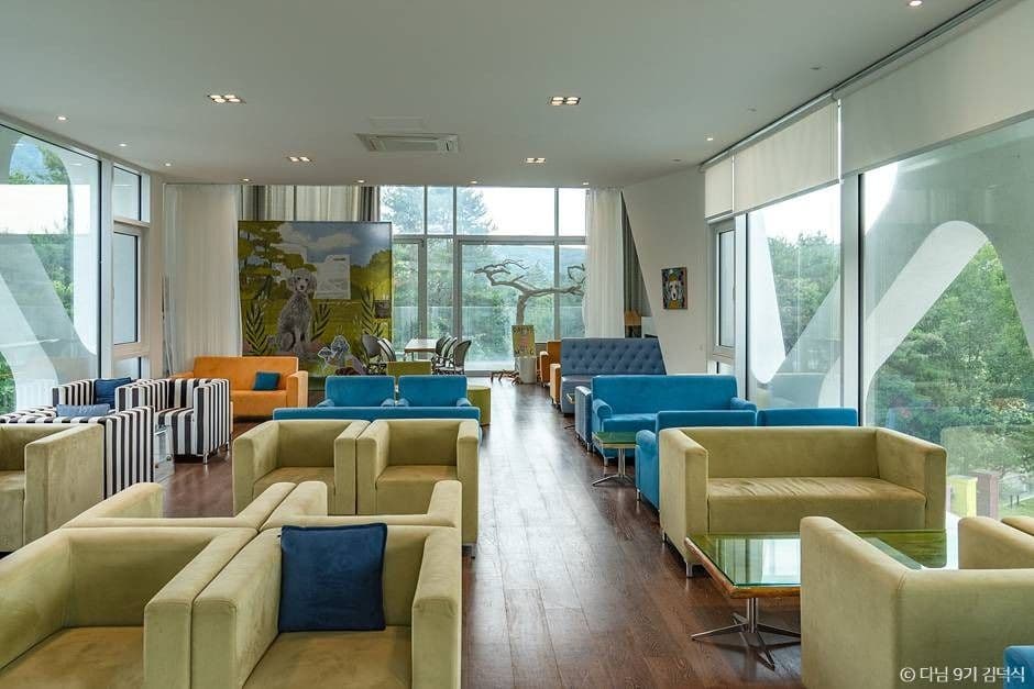 경기투어패스, 경기도 양평 여름여행 가볼만한곳_카포레_3-4