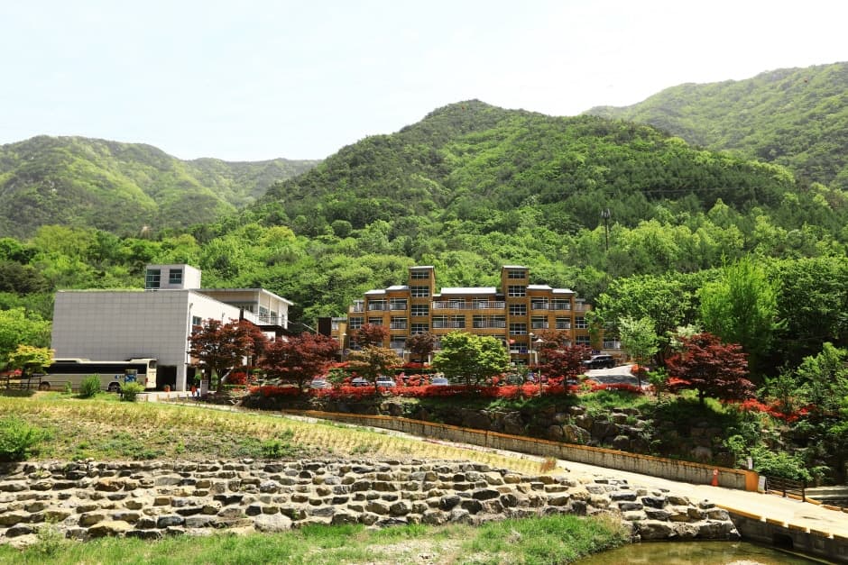 壯靈山自然休養林(장령산자연휴양림)