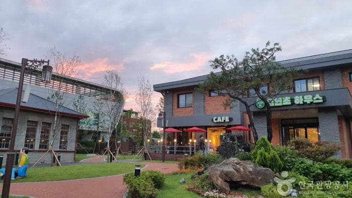 충북_엽연초하우스_외부전경14