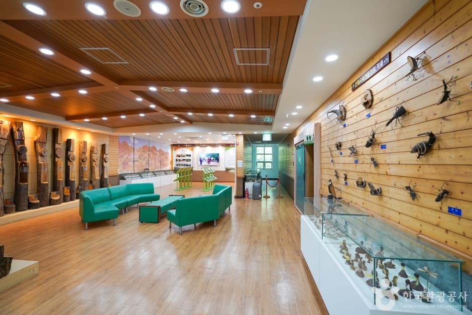 경북_포항_경상북도수목원 (5)