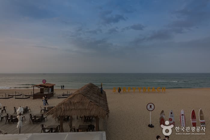 서피비치, 서핑(양양) 10