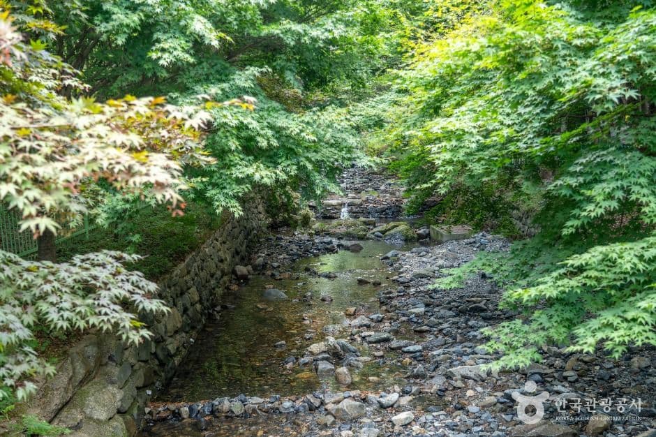 보령_화장골계곡 (3)