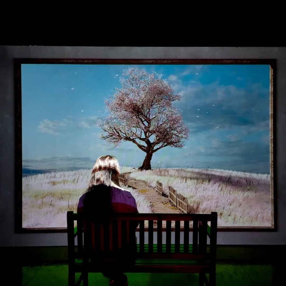 济州Holic Museum(제주홀릭뮤지엄)