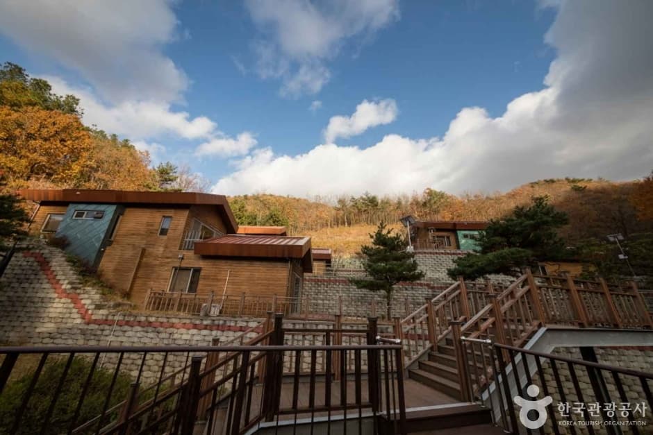 전남권 환경성질환_예방관리센터 (3)