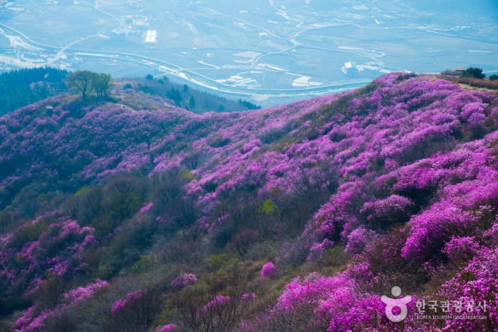 霊鷲山（麗水）（영취산（여수））