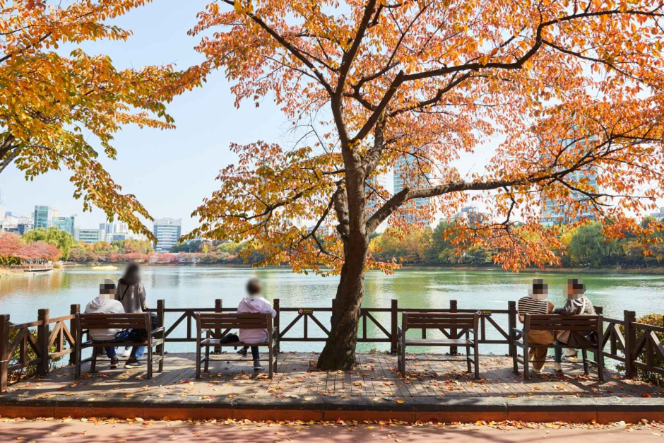 松坡渡口公園(石村湖)(송파나루공원(석촌호수))