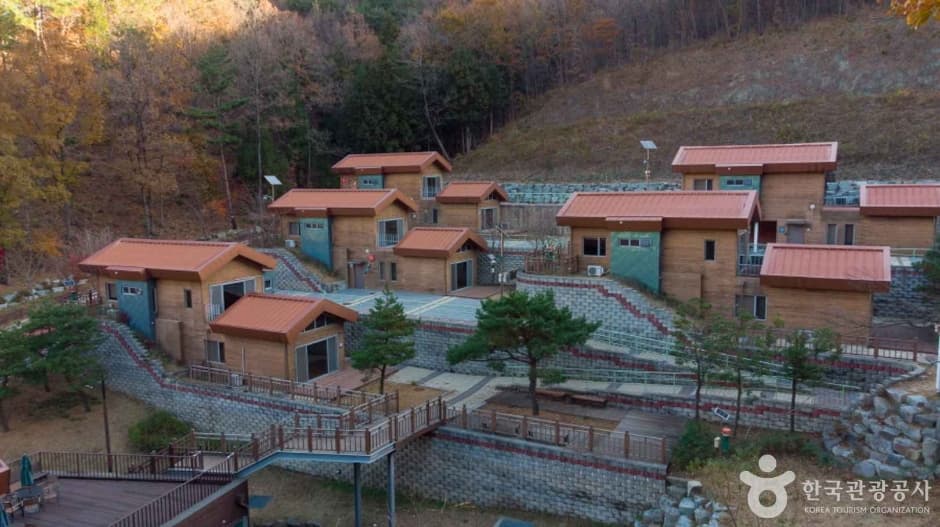 전남권 환경성질환_예방관리센터 (5)