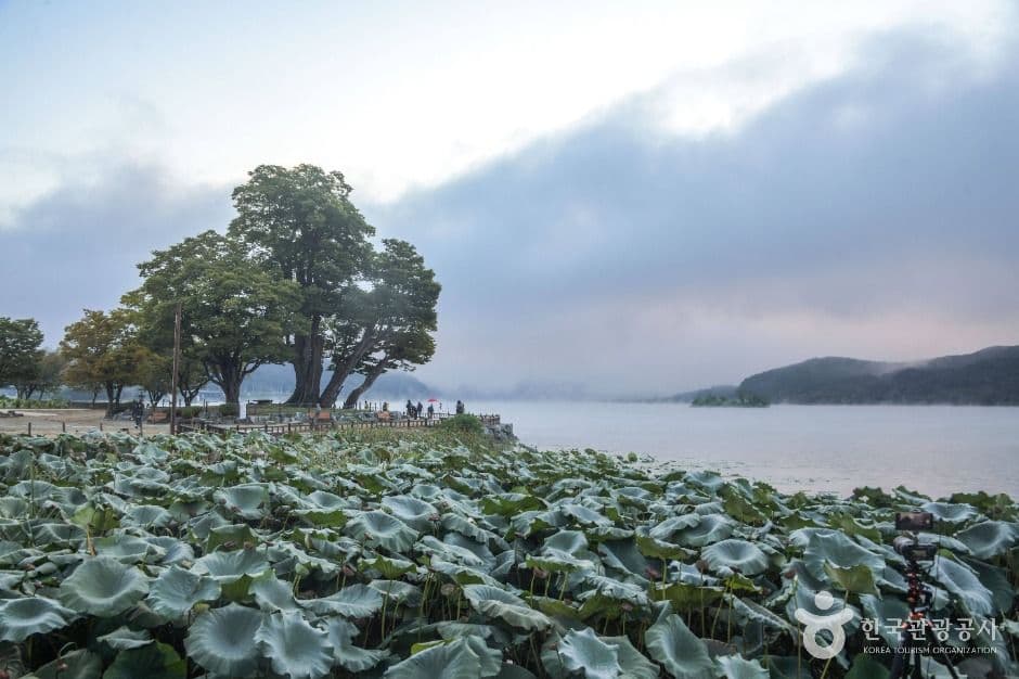 Dumulmeori à Yangpyeong (양평 두물머리)