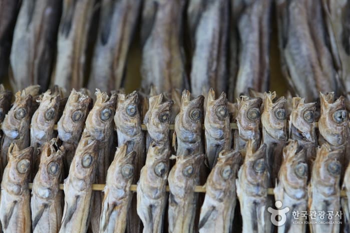 강릉 주문진수산시장_07