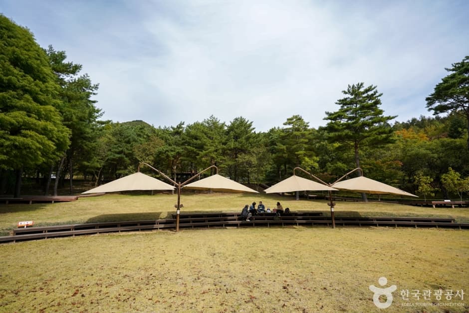 경북_포항_경상북도수목원 (15)