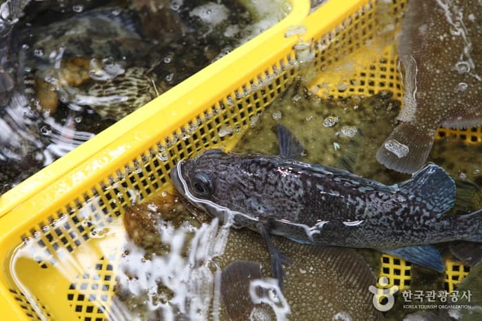 131210부산_민락동회타운 5