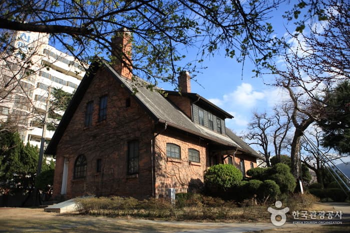 대구_청라언덕02