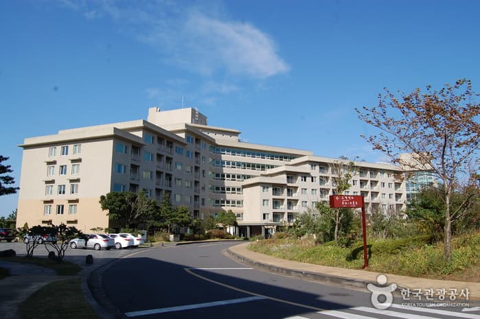 ハンファリゾート済州（한화리조트 제주）