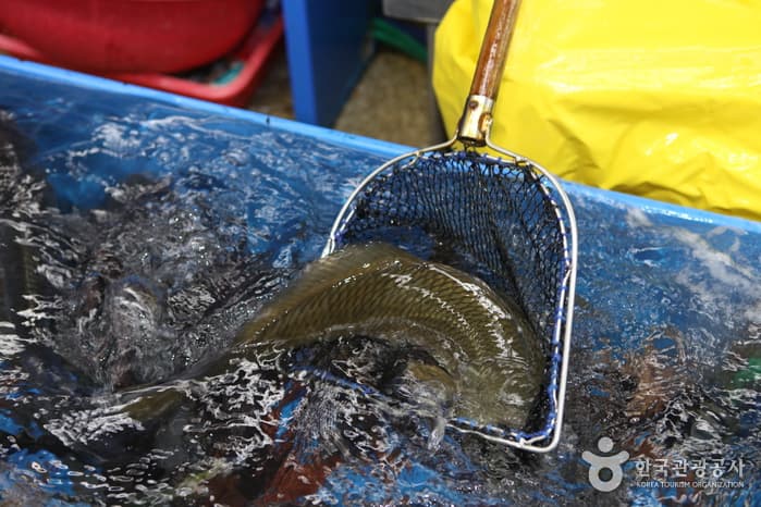 131210부산_민락동회타운 6