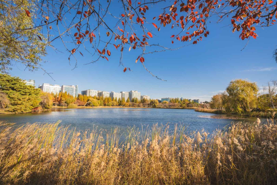 一山湖公園(일산호수공원)