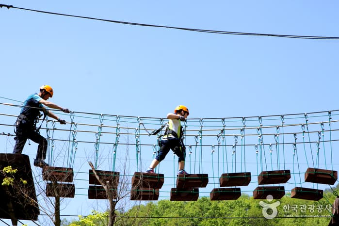 강원_인제_내린천 공중을 가르는 익스트림 스포츠, 짚트랙04