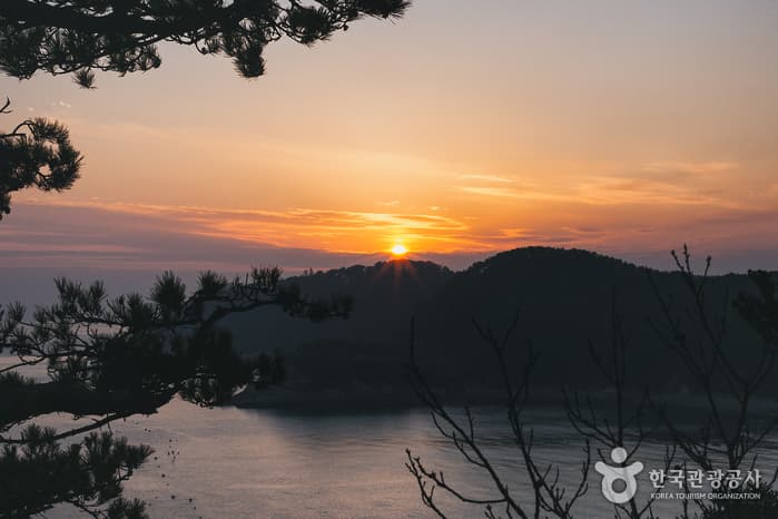 한국관광공사 추천 2월 걷기여행길_해안누리길 몰운대길_5