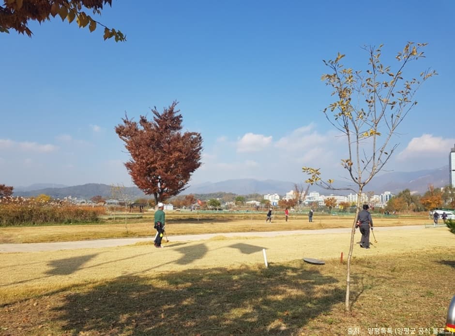 양평파크골프장_경기모습