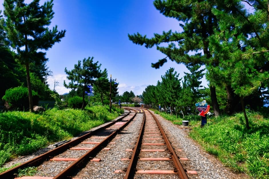 Ciclorraíl Marino de Samcheok (삼척 해양레일바이크)