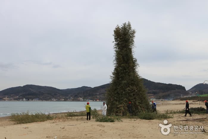 경북_포항_도구해수욕장01